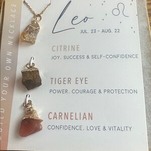 Interchangeable 3 in 1 Leo Zodiac Necklace